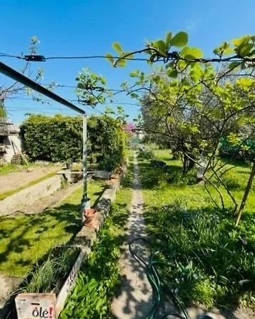 Le Du Pont Des Lones * Valence (Drome)