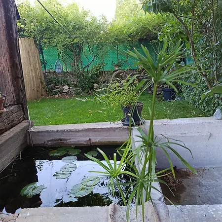 Le Du Pont Des Lones