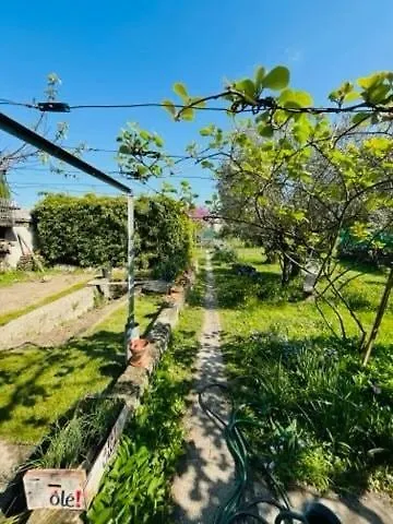 Le Du Pont Des Lones * Βαλένς